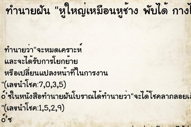ทำนายฝัน หูใหญ่เหมือนหูช้าง พับได้ กางได้ ทำนายฝัน หูใหญ่เหมือนหูช้าง พับได้ กางได้